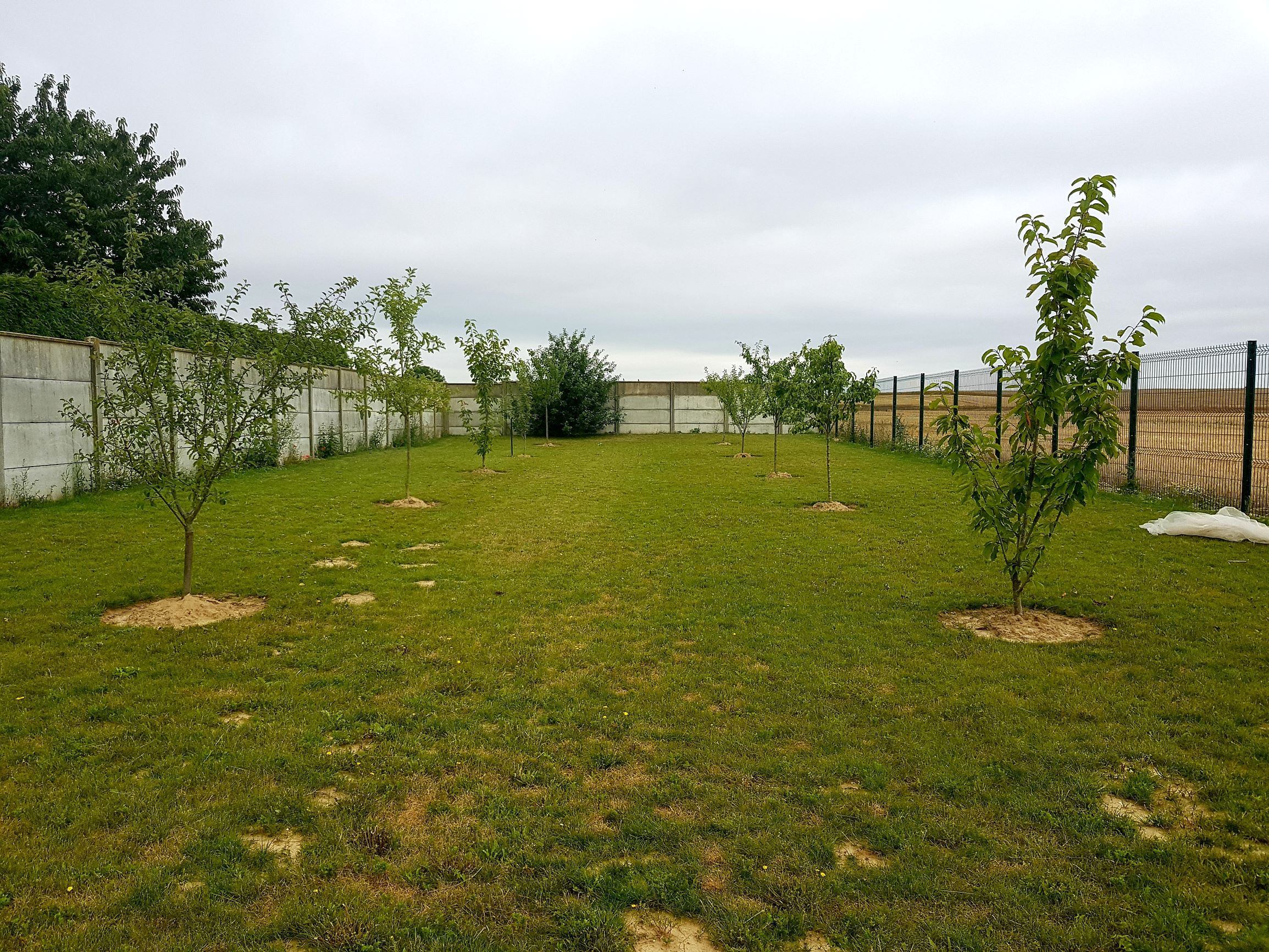 Terrain- 750 m2