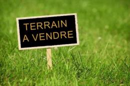 Terrain
